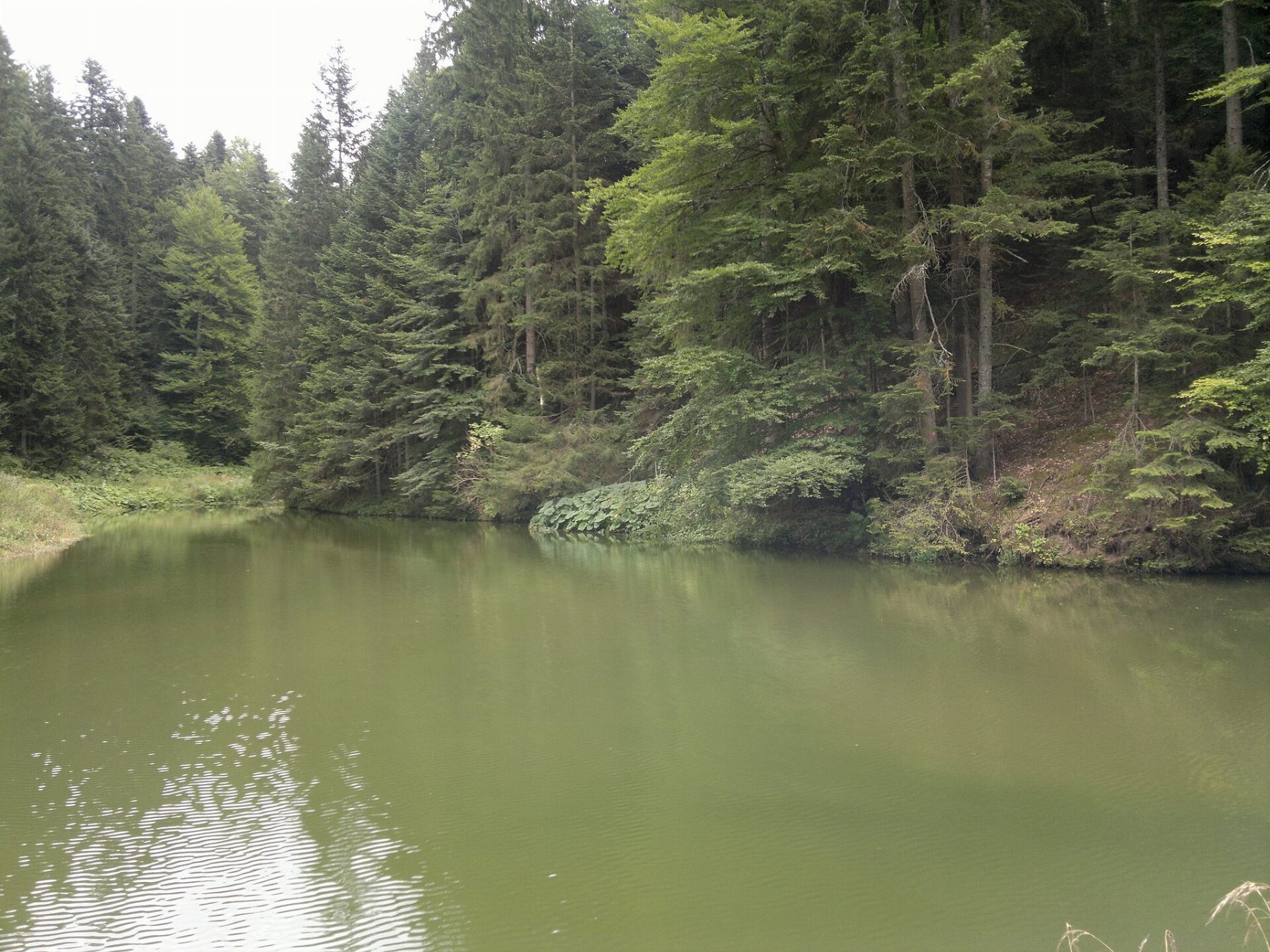 Medino jezero, nedaleko od Sokoline